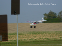 Aile Bronze 5